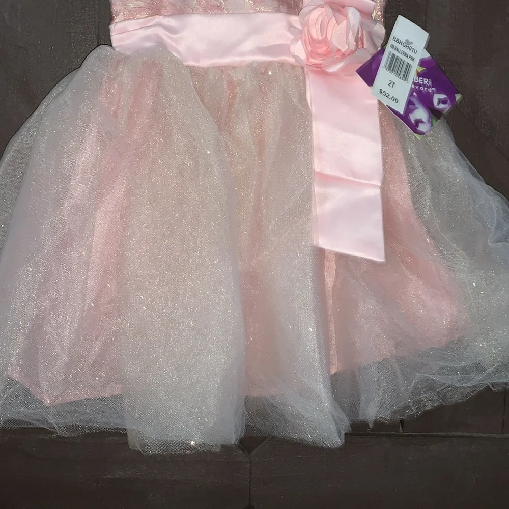 Blueberi Boulevard- little girls dress